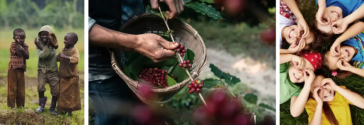 Manufaktura kawy